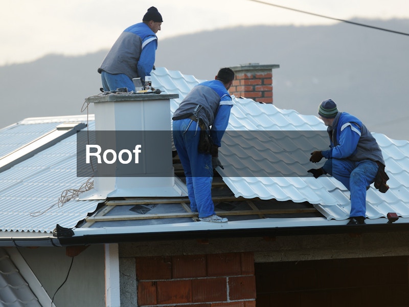 roofing professionals